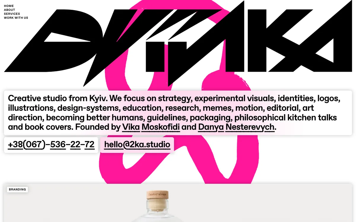 DVIЙКА website