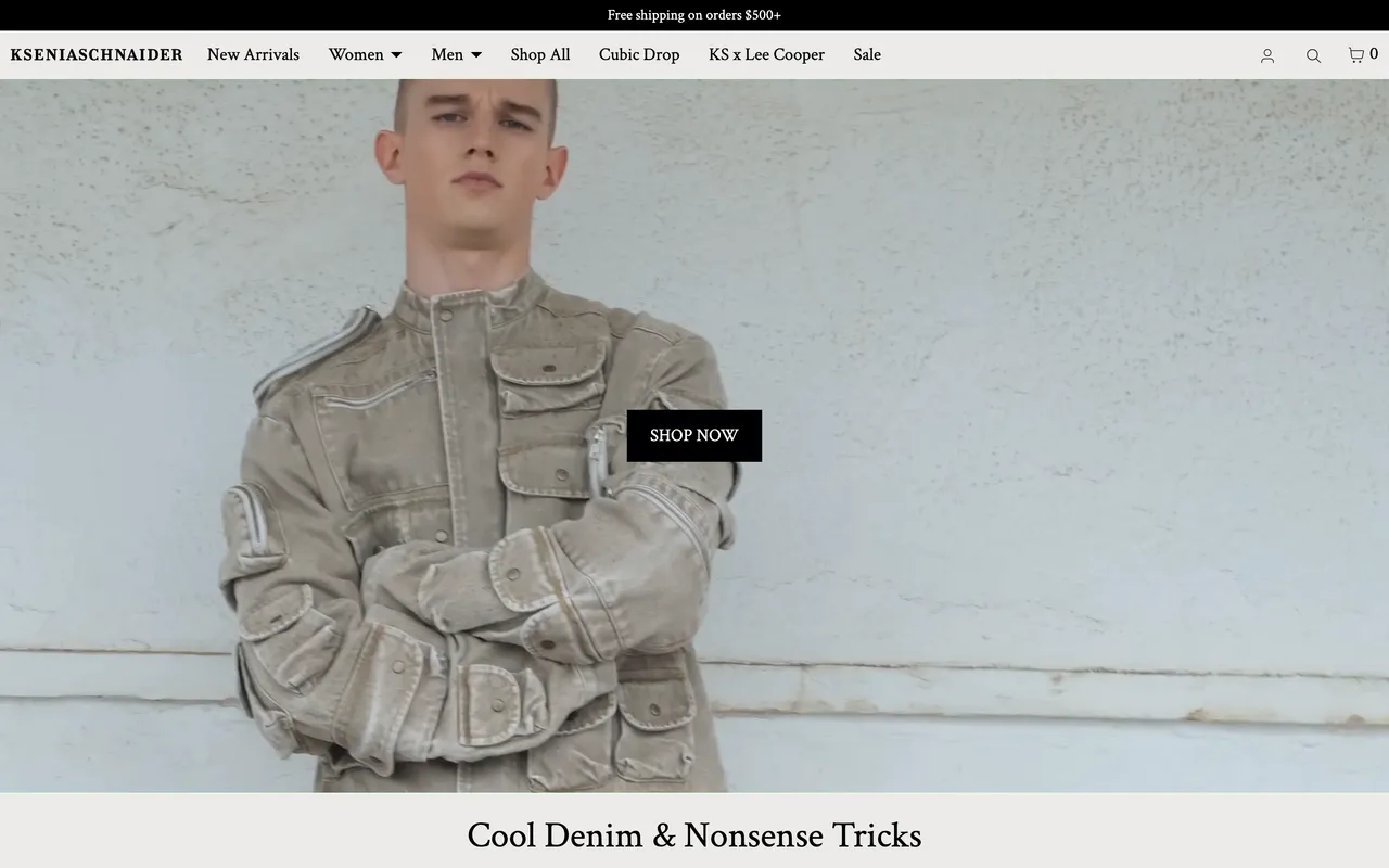 KSENIASCHNAIDER website