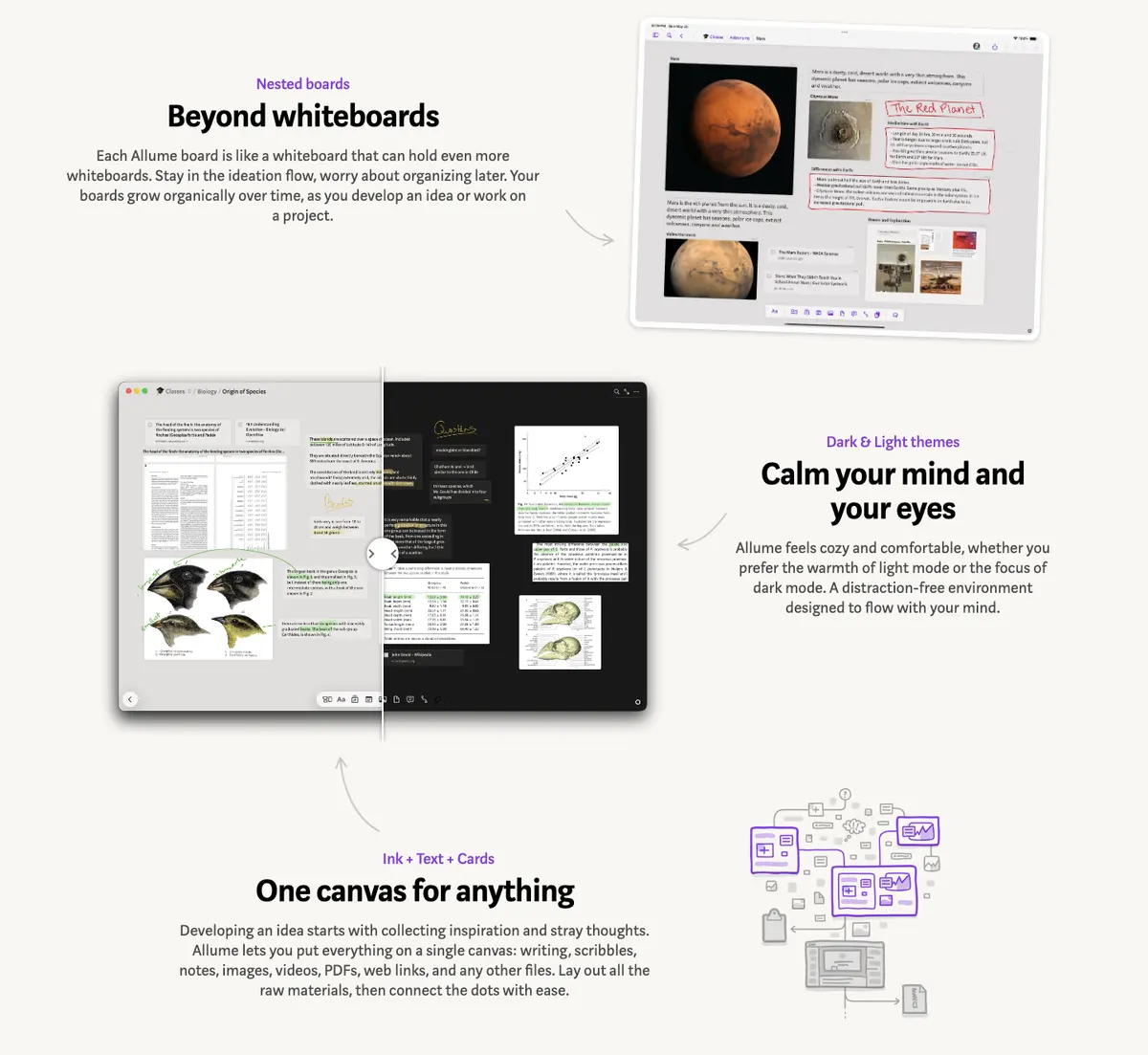 Features section of Muse