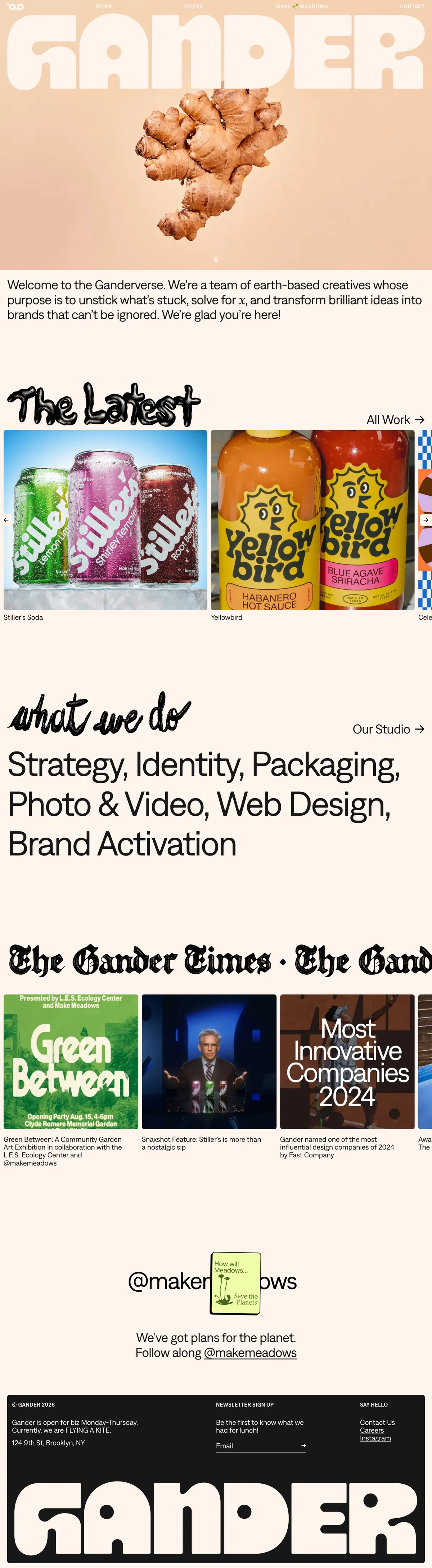 Full-page screenshot of Gander (takeagander.com)
