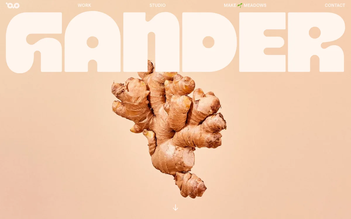Gander website