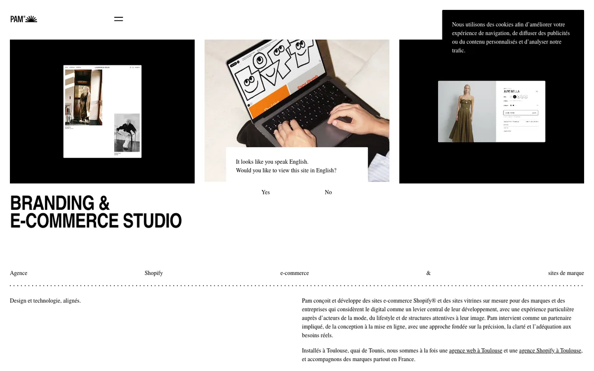 Web agency Toulouse, Pam website