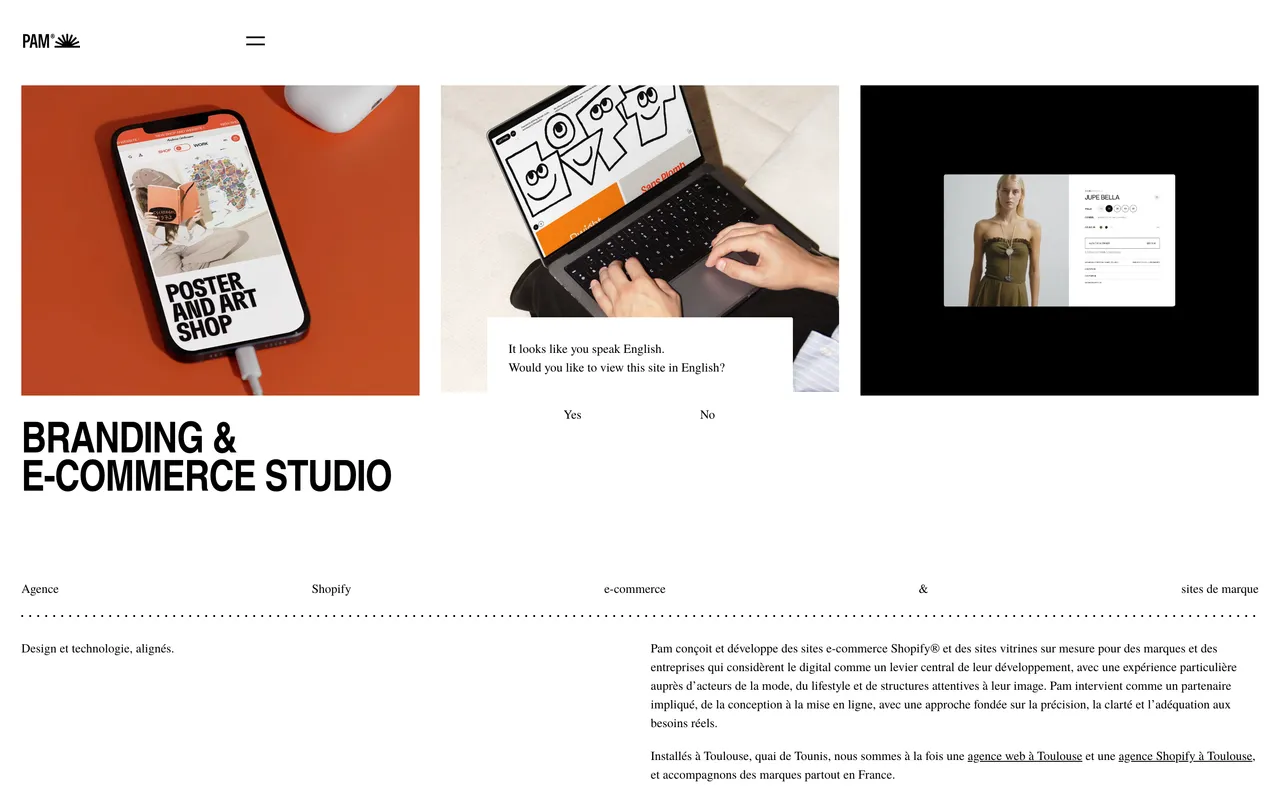 Web agency Toulouse, Pam website