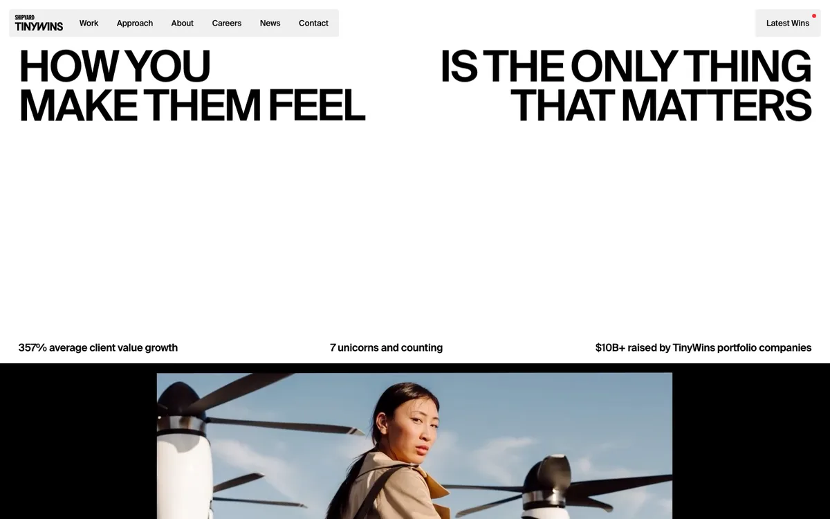 TinyWins website